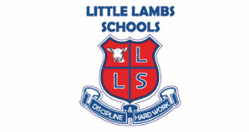 Little Lambs Schools
